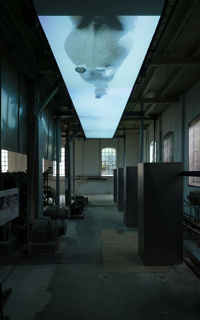 A video installation placed in the ceiling showing a horse running from underneath.